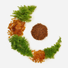 Rooibos%e8%8c%b6